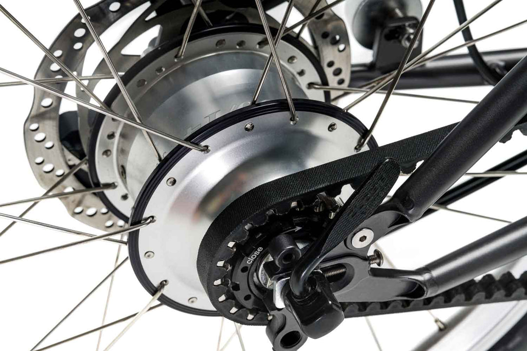 Rohloff Special Edition